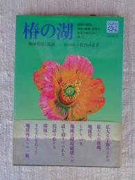 椿の湖 : 地球環境と民話 地球の創造・調和・破壊・再生を民話の視点から考える