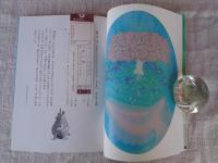 椿の湖 : 地球環境と民話 地球の創造・調和・破壊・再生を民話の視点から考える