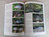 川魚入門 : 採集と飼育 : 淡水魚と水辺の生きものを楽しむ