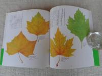 木の葉の美術館 : アート&エッセイ