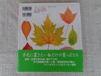 木の葉の美術館 : アート&エッセイ