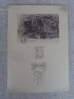 谷根千同窓会 : 古写真帖 1894～1991