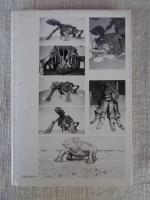 デスモスチルスの復元