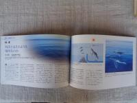 海のハンター展　 Hunters of the ocean Hunters of the ocean : 恵み豊かな地球の未来