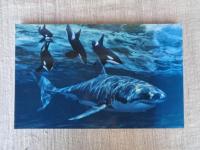 海のハンター展　 Hunters of the ocean Hunters of the ocean : 恵み豊かな地球の未来