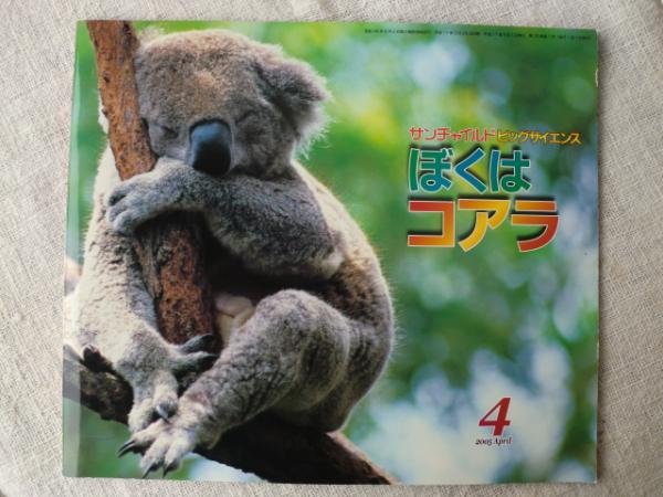 ぼくはコアラ サンチャイルド ビッグサイエンス4月号 がらんどう 古本 中古本 古書籍の通販は 日本の古本屋 日本の古本屋 ぼくはコアラ サンチャイルド ビッグサイエンス4月号 がらんどう 古本 中古本 古書籍の通販は 日本の古本屋 日本の古本屋
