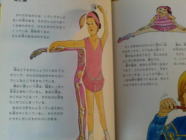 からだのなかとそと めくるとわかるからだの本 クレア スモールマン さく エドウィナ リデル え 佐藤見果夢 やく がらんどう 古本 中古本 古書籍の通販は 日本の古本屋 日本の古本屋