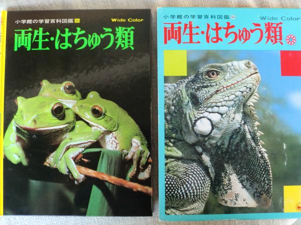 小学館の学習百科図鑑 原幸治 山本洋輔共著 がらんどう 古本 中古本 古書籍の通販は 日本の古本屋 日本の古本屋