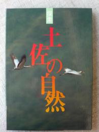 探索土佐の自然