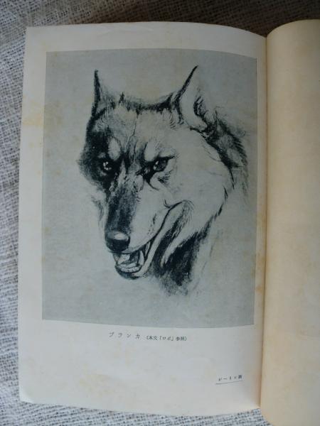 【オープニング 大放出セール】 著 シートン動物記(シートン ; 古本、中古本 / 訳) 龍口直太郎 名作