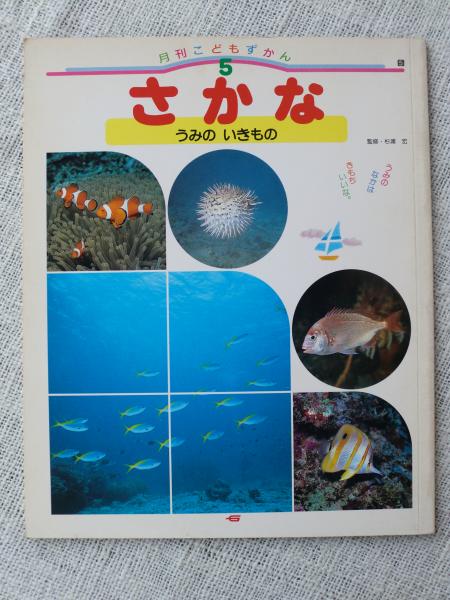 月刊こどもずかん 5号 さかな うみの いきもの 監修 杉浦宏 がらんどう 古本 中古本 古書籍の通販は 日本の古本屋 日本の古本屋