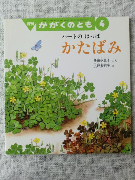 かたばみ ハートのはっぱ 多田多恵子ぶん 広野多珂子え 古本 中古本 古書籍の通販は 日本の古本屋 日本の古本屋 かたばみ ハートのはっぱ 多田多恵子ぶん 広野多珂子え 古本 中古本 古書籍の通販は 日本の古本屋 日本の古本屋