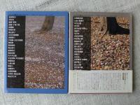 図説 東京樹木探検