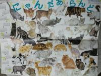 なぜまるい?