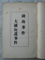 湖南事件　大浦庇護事件