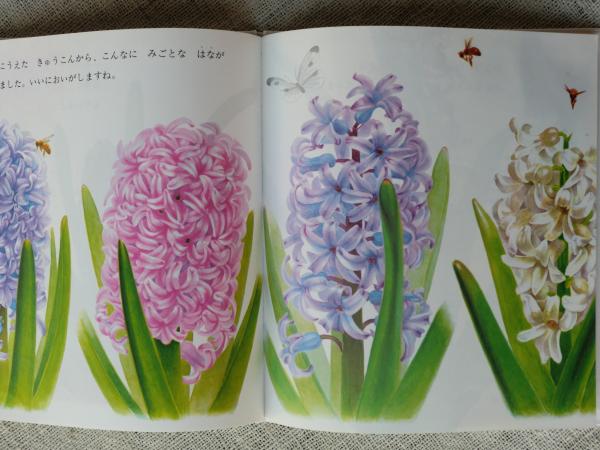 ひやしんす かがくのとも特製版福音館書店