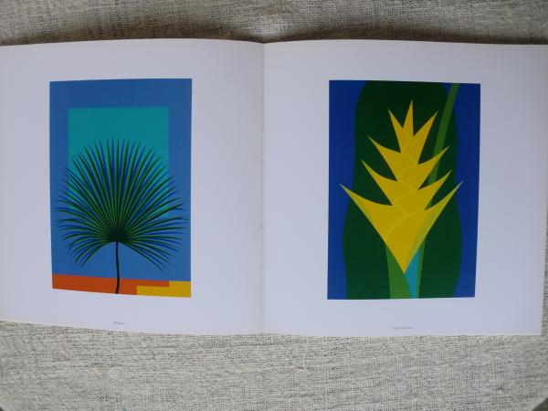 NATURE: Ryohei Kojima ○小島良平 / 古本、中古本、古書籍の通販は