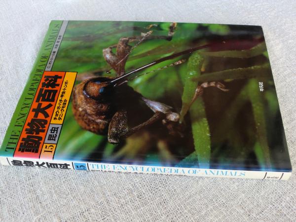 日本動物大百科8～10巻 昆虫Ⅰ・Ⅱ・Ⅲ揃(日高敏隆監修) / 古本、中古本、古書籍の通販は「日本の古本屋」 / 日本の古本屋