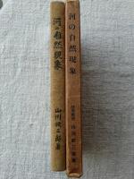 河の自然現象