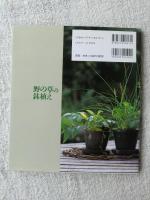 四季を楽しむ野の草の鉢植え