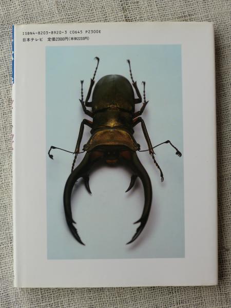 スーパースタービートルズ 世界のカブトムシ クワガタムシ 海野和男 著 がらんどう 古本 中古本 古書籍の通販は 日本の古本屋 日本の古本屋 スーパースタービートルズ 世界のカブトムシ クワガタムシ 海野和男 著 がらんどう 古本 中古本 古書籍の通販は 日本の古本屋 日本の古本屋