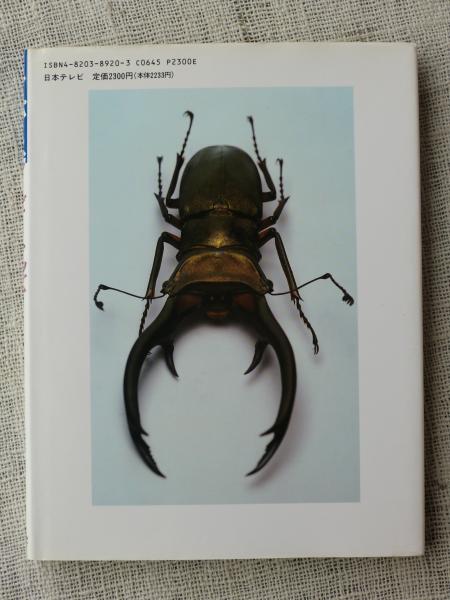 スーパースタービートルズ 世界のカブトムシ クワガタムシ 海野和男 著 がらんどう 古本 中古本 古書籍の通販は 日本の古本屋 日本の古本屋