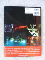 伝説のイカ宿命の闘い