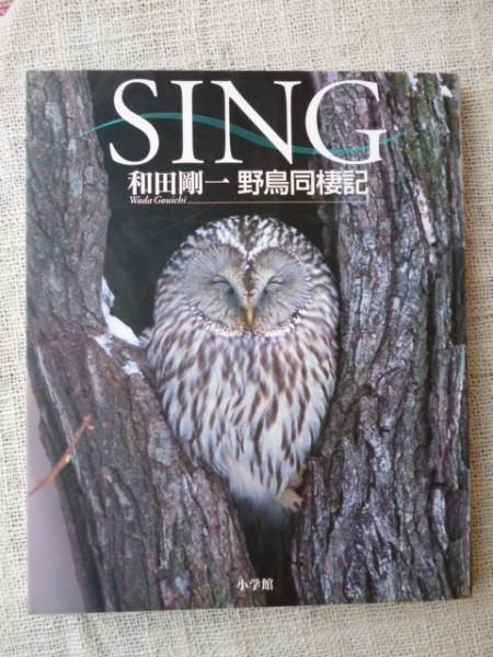 Sing 野鳥同棲記 和田剛一 著 がらんどう 古本 中古本 古書籍の通販は 日本の古本屋 日本の古本屋