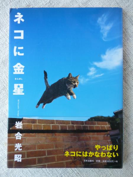 ネコに金星 ニッポンの猫写真集 岩合光昭 写真 文 がらんどう 古本 中古本 古書籍の通販は 日本の古本屋 日本の古本屋