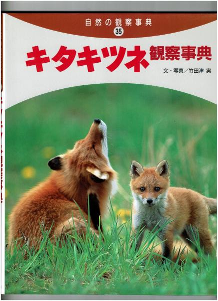キタキツネ観察事典(竹田津実 文・写真) / 古本、中古本、古書籍