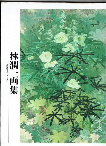 林潤一、【緑林】、希少な額装用画集より、新品額装付、状態良好の通販 by shion's shop｜ラクマ