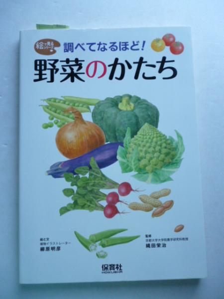 調べてなるほど 野菜のかたち 絵で見るシリーズ 柳原明彦 絵と文 縄田栄治 監修 がらんどう 古本 中古本 古書籍の通販は 日本の古本屋 日本の古本屋
