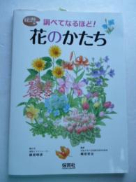 調べてなるほど! 花のかたち　<絵で見るシリーズ>