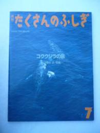 「コククジラの旅」　月刊たくさんのふしぎ　1988年7月号　通巻40号