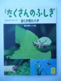 「ぼくが見たハチ」　月刊たくさんのふしぎ　1998年8月号　第161号