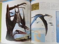 （希少初版）　動物大百科 別巻2 翼竜 Pterosaurs 動物大百科(ヴェルンホファー ペーター【著】<Wellnhofer Peter>;渡辺