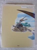 動物大百科(ヴェルンホファー ペーター【著】<Wellnhofer Peter>;渡辺