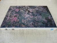 梅と桜