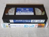 VHS「NHKスペシャル　生命」第8集：ヒトがサルと別れた日