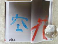 文藝　2010年　夏　特集：荒木経惟・新作グラビア「空花」：対談＆フォトセッション「遺影」森山大道