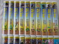NHKビデオ「すばらしい地球の仲間たち」 VHSビデオ20巻セット