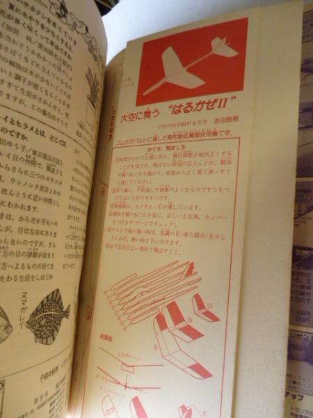 21DnpgKI1JL._AC_UF350,
