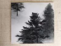 仕事場の作家