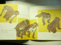 きもちわかるかな にほんざるのくらし　(かがくのとも 227号)