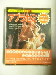 たのしい理科教室 昆虫④　「アブラゼミ」　観察と育て方