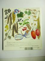 ひかりをめざす のやまの つるしょくぶつ　(かがくのとも 449号)