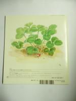 いちごばたけが できたよ　(かがくのとも 494号)