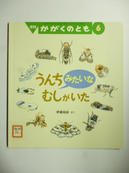うんちみたいな むしがいた (かがくのとも 567号)(伊藤知紗