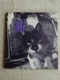 東京在住猫 : 太田威重写真集