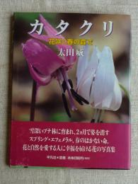 カタクリ : 花咲く春の森で